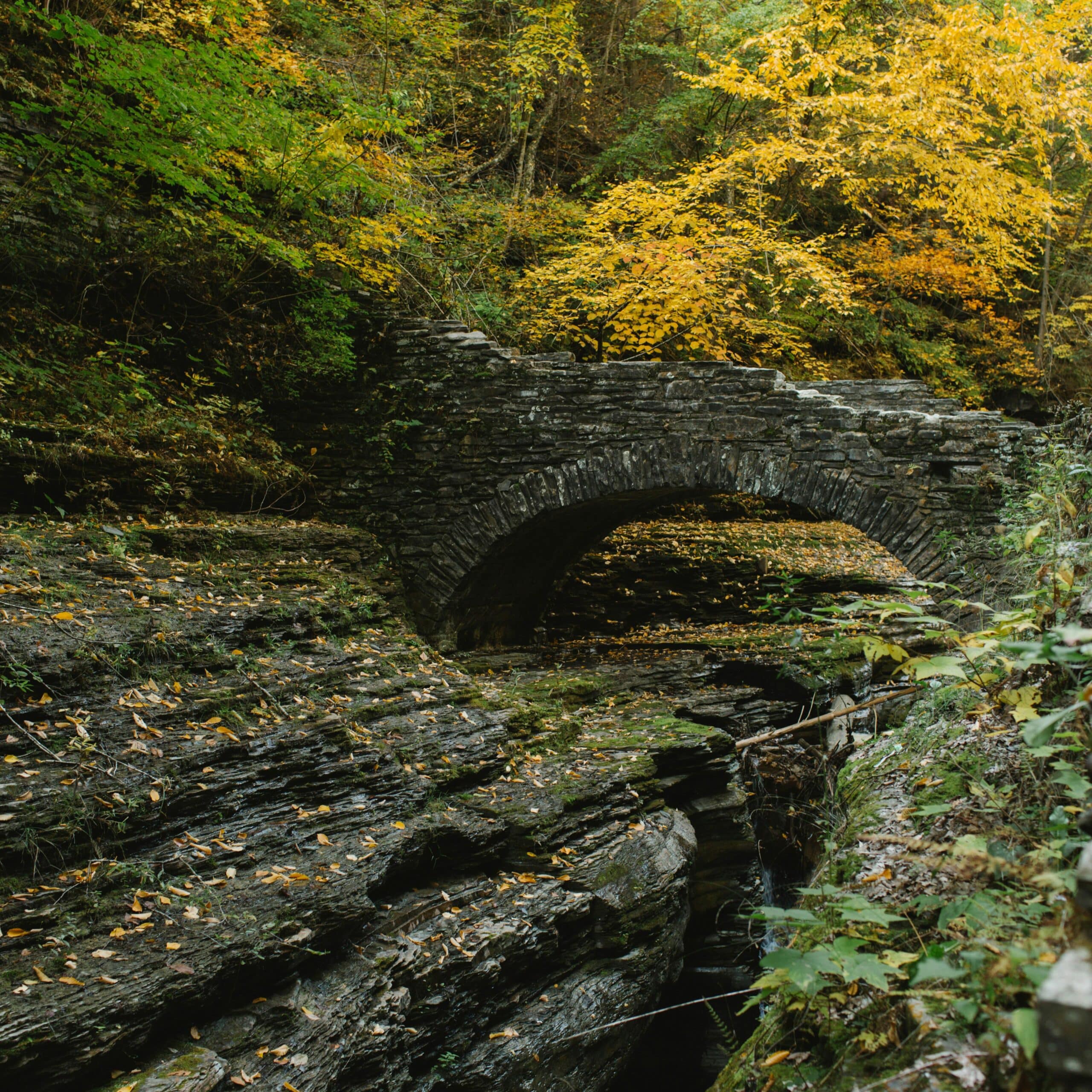 BriteLife Recovery Acquires Summit Behavioral Health in Princeton Junction, NJ 